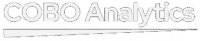 Cobo Analytics